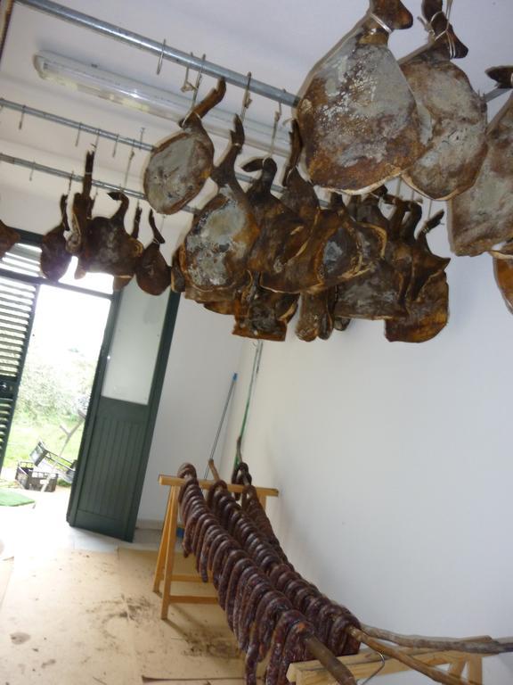 Agriturismo Ticci Seùlo Eksteriør bilde