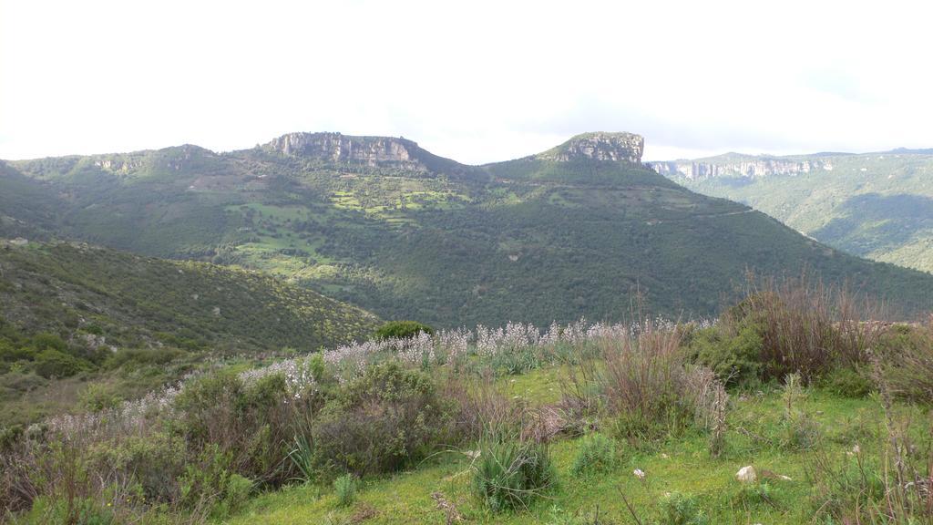 Agriturismo Ticci Seùlo Eksteriør bilde