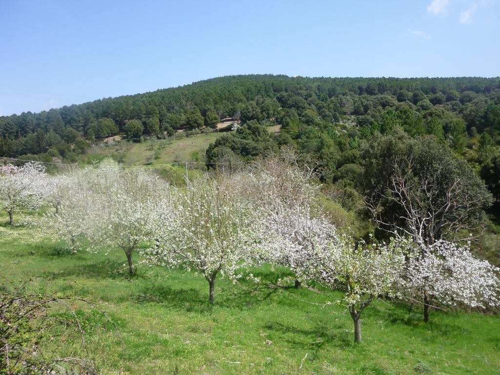 Agriturismo Ticci Seùlo Eksteriør bilde