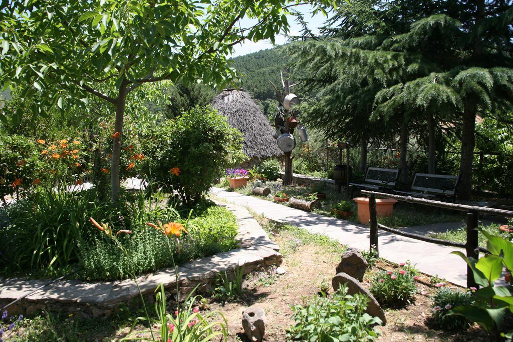 Agriturismo Ticci Seùlo Eksteriør bilde